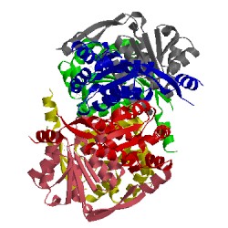 Image of CATH 1s8a