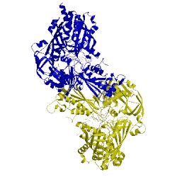 Image of CATH 1sb3