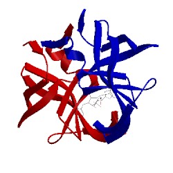 Image of CATH 1sbg