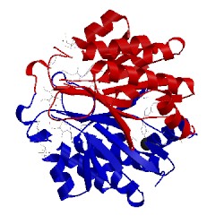 Image of CATH 1sbr