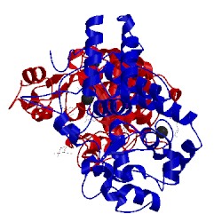 Image of CATH 1sch