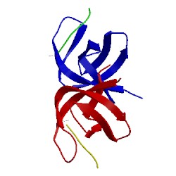 Image of CATH 1sem