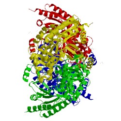 Image of CATH 1sff