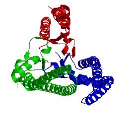 Image of CATH 1sg2