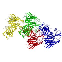 Image of CATH 1sgz