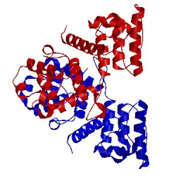 Image of CATH 1sh5