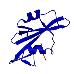 Image of CATH 1shb