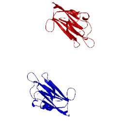 Image of CATH 1shx