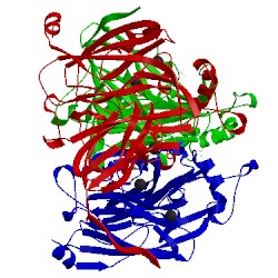 Image of CATH 1sjm