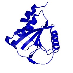 Image of CATH 1sk4