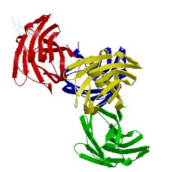 Image of CATH 1slc