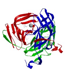 Image of CATH 1slh