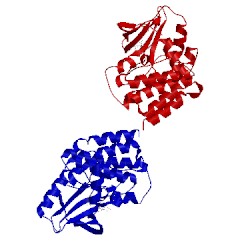 Image of CATH 1sm2