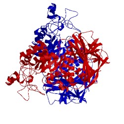 Image of CATH 1sma