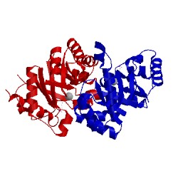 Image of CATH 1so6