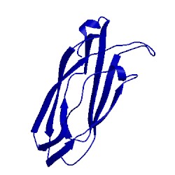 Image of CATH 1sp0