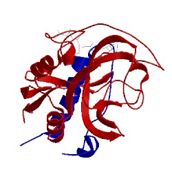 Image of CATH 1sp4