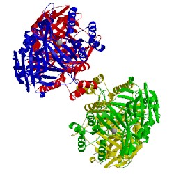 Image of CATH 1sp8