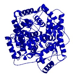 Image of CATH 1sqc