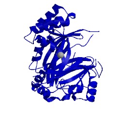 Image of CATH 1sqd