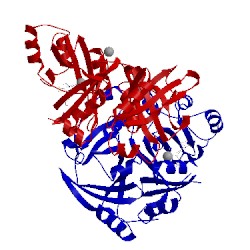 Image of CATH 1sqi