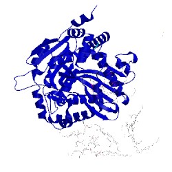 Image of CATH 1sqp