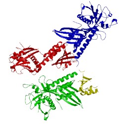 Image of CATH 1srq
