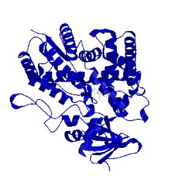 Image of CATH 1suo