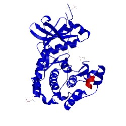 Image of CATH 1svg