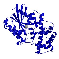 Image of CATH 1svs