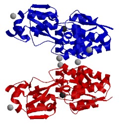 Image of CATH 1sw4