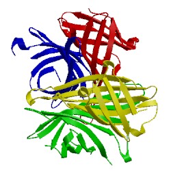 Image of CATH 1swc