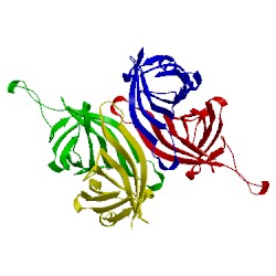 Image of CATH 1swf