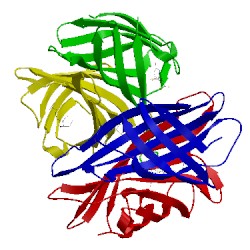 Image of CATH 1swp