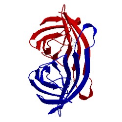 Image of CATH 1swt