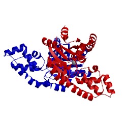 Image of CATH 1swv