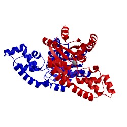 Image of CATH 1sww