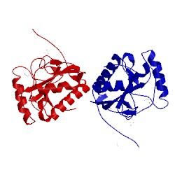 Image of CATH 1sxr
