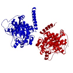 Image of CATH 1syk