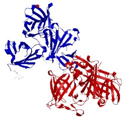 Image of CATH 1sz0