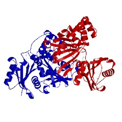 Image of CATH 1sz2