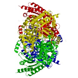 Image of CATH 1szk