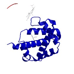 Image of CATH 1t1n