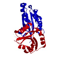 Image of CATH 1t2l