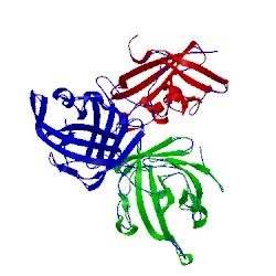 Image of CATH 1t2w