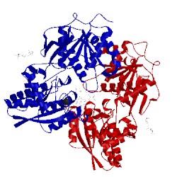 Image of CATH 1t34