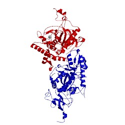 Image of CATH 1t3a