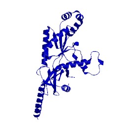 Image of CATH 1t3l