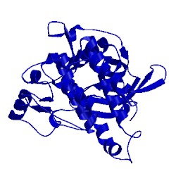 Image of CATH 1t45