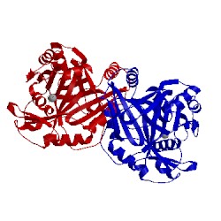 Image of CATH 1t47